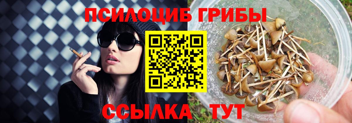 Псилоцибиновые грибы мицелий Черкесск